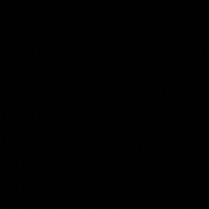 Meet your Posher, Hanako